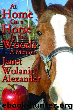 At Home on a Horse in the Woods by Janet Wolanin Alexander