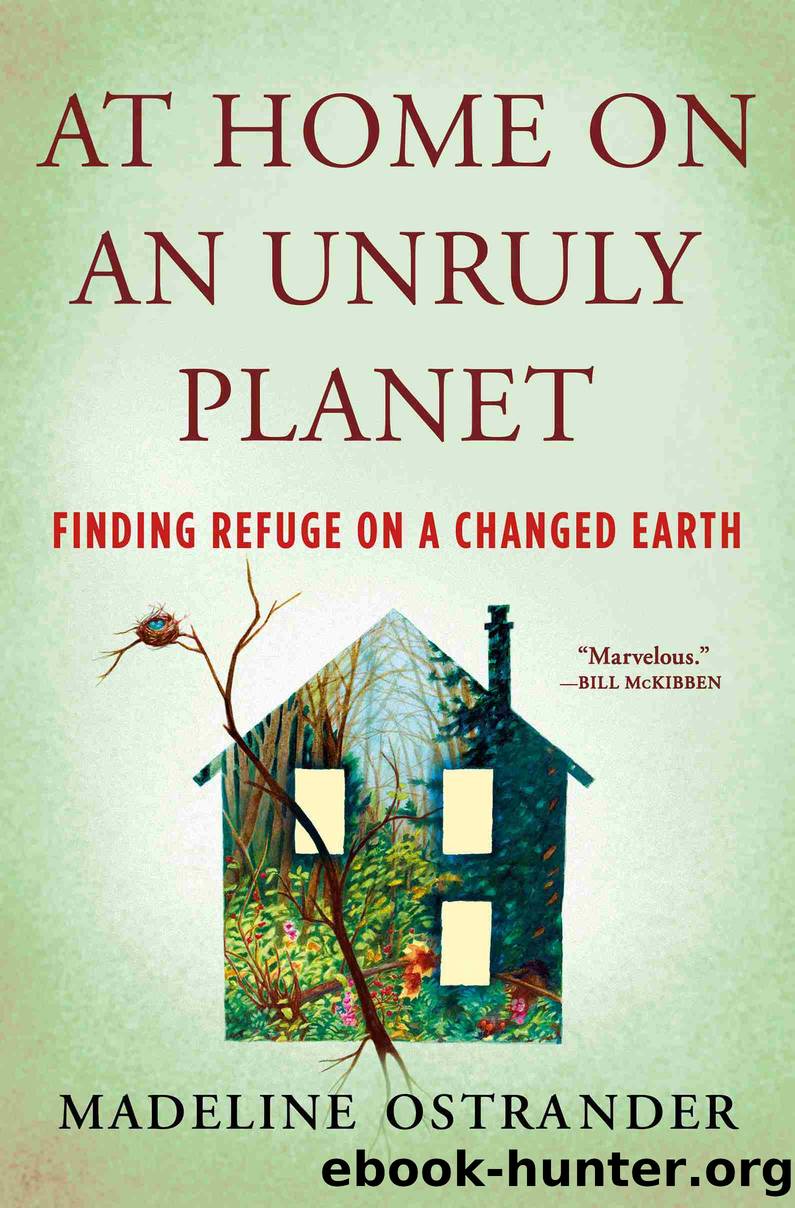 At Home on an Unruly Planet by Madeline Ostrander