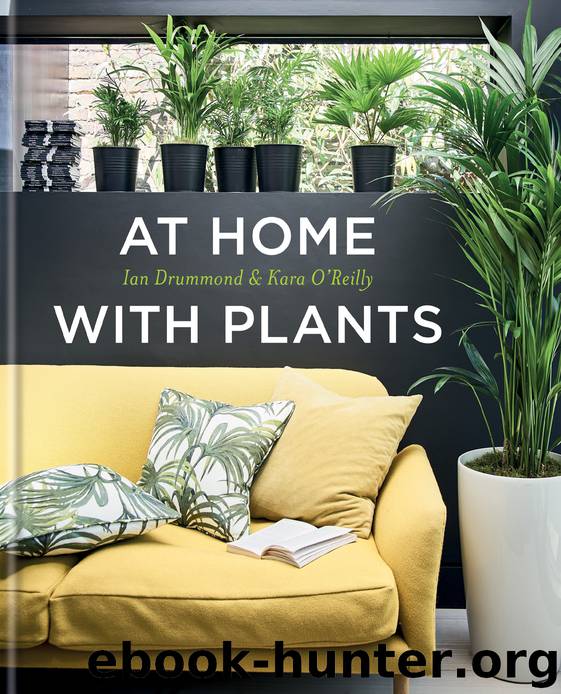 At Home with Plants by Mitchell Beazley