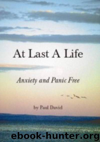 At Last A Life by Paul David