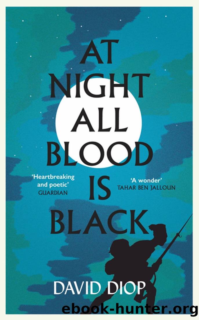 at night all blood is black book