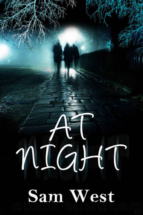 At Night by West Sam