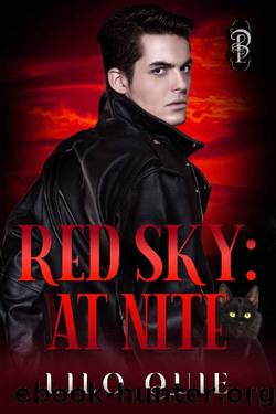 At Nite (Red Sky Book 1) by Lilo Quie