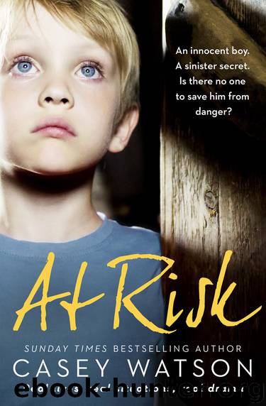 At Risk by Casey Watson