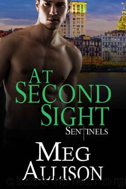 At Second Sight: Sentinels by Meg Allison
