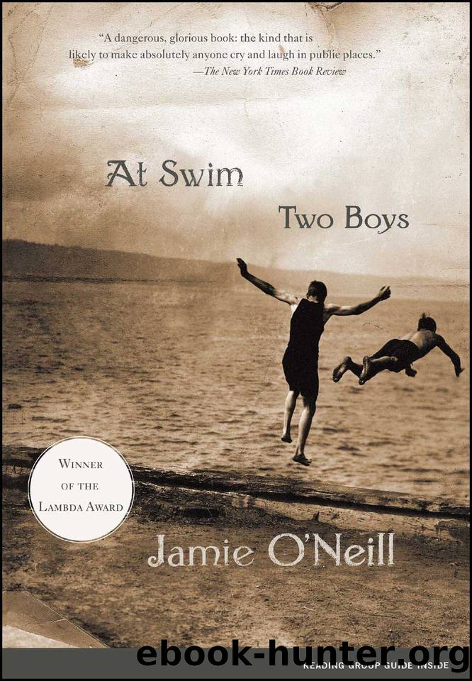 At Swim, Two Boys: A Novel by O'Neill Jamie