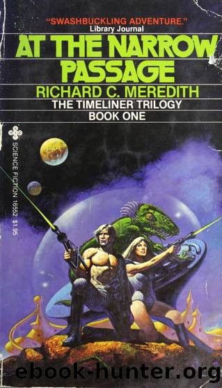At The Narrow Place by Richard C. Meredith