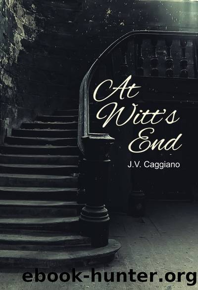 At Witt's End by J.V. Caggiano