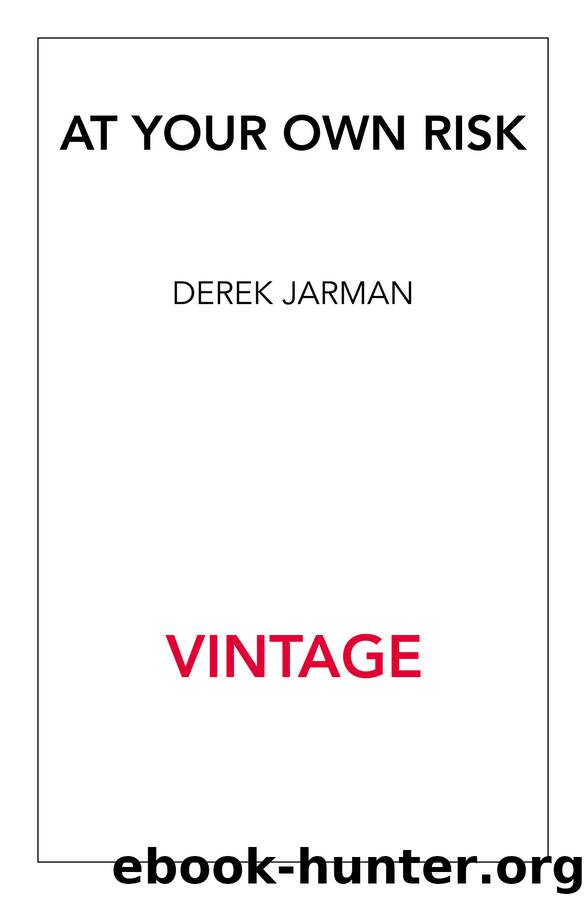 At Your Own Risk by Derek Jarman