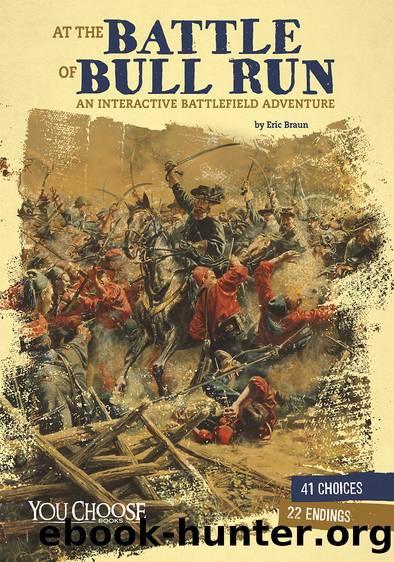 At the Battle of Bull Run by Eric Braun