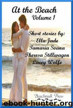 At the Beach, Volume 1 by Unknown