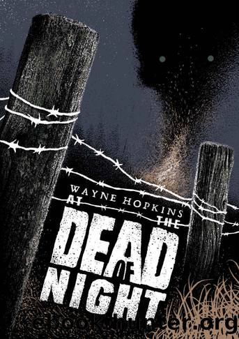 At the Dead of Night by Wayne Hopkins