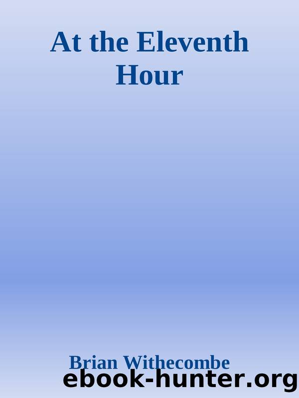 At the Eleventh Hour by Brian Withecombe