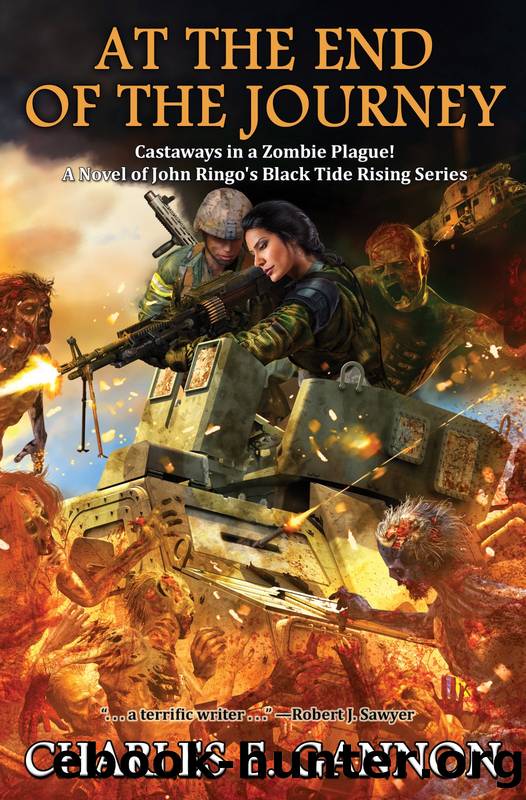 At the End of the Journey by Charles E. Gannon