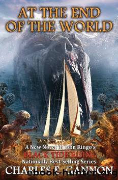 At the End of the World by Charles E. Gannon