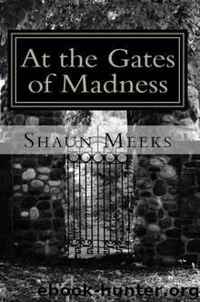 At the Gates of Madness by Meeks Shaun