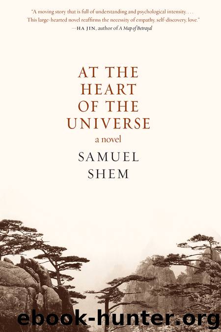 At the Heart of the Universe by Samuel Shem & Samuel Shem