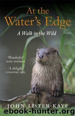 At the Water's Edge by John Lister-Kaye