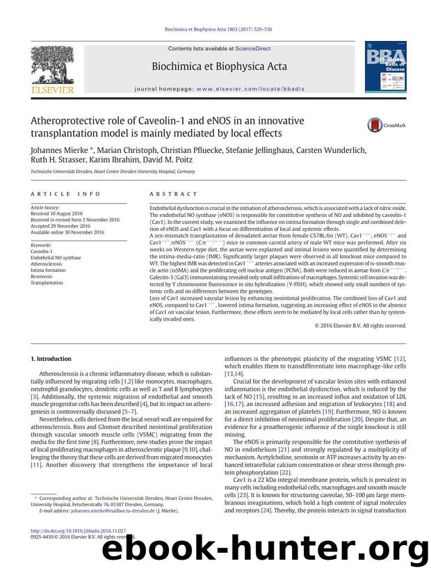 Atheroprotective role of Caveolin-1 and eNOS in an innovative transplantation model is mainly mediated by local effects by unknow