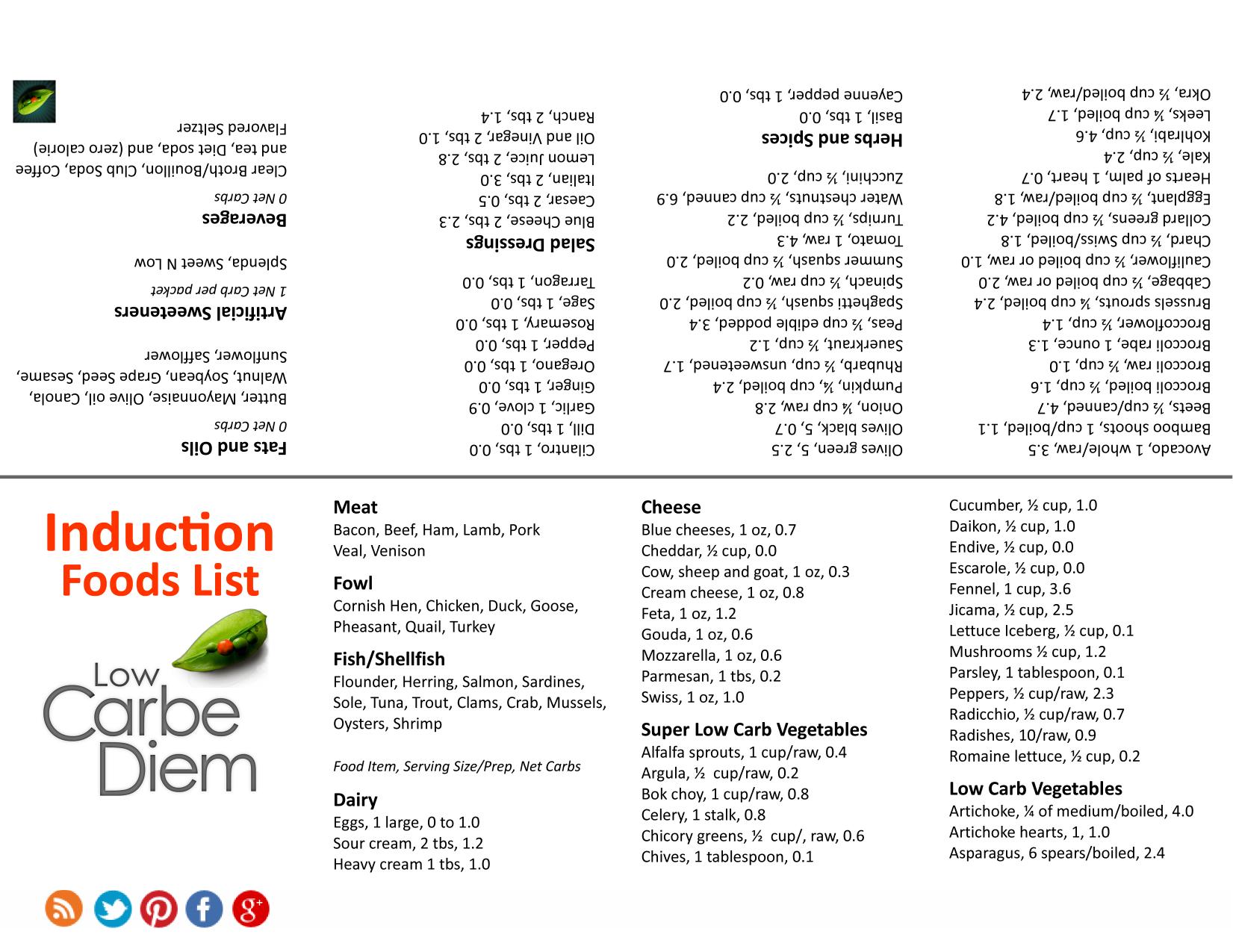 Atkins Induction Pocket Low Carb Food List by Unknown