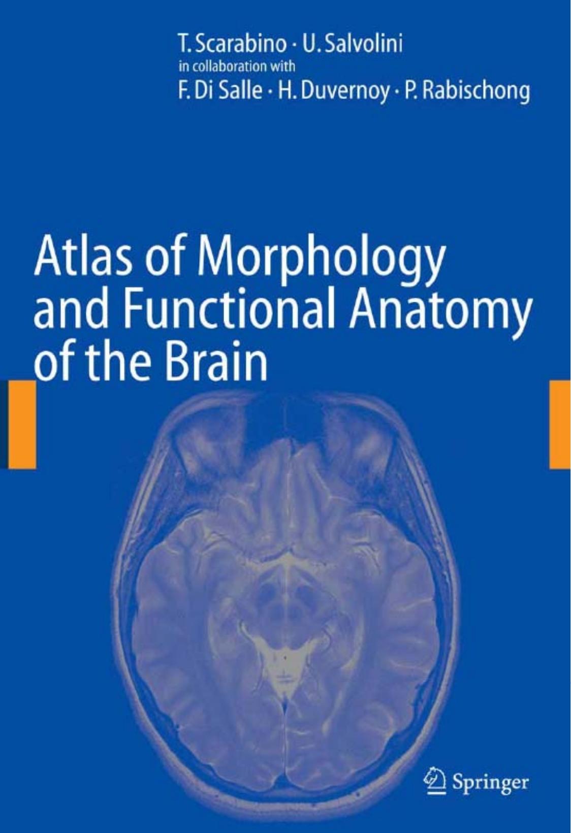 Atlas Of Morphology And Functional Anatomy Of The Brain by T. Scarabino U. Salvolini F. Di Salle H. Duvernoy P. Rabischong