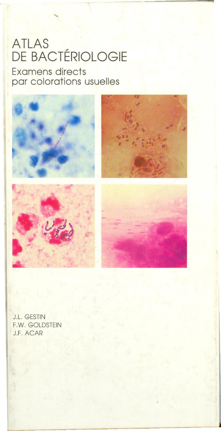 Atlas de bacteriologie by Gestin Goldstein