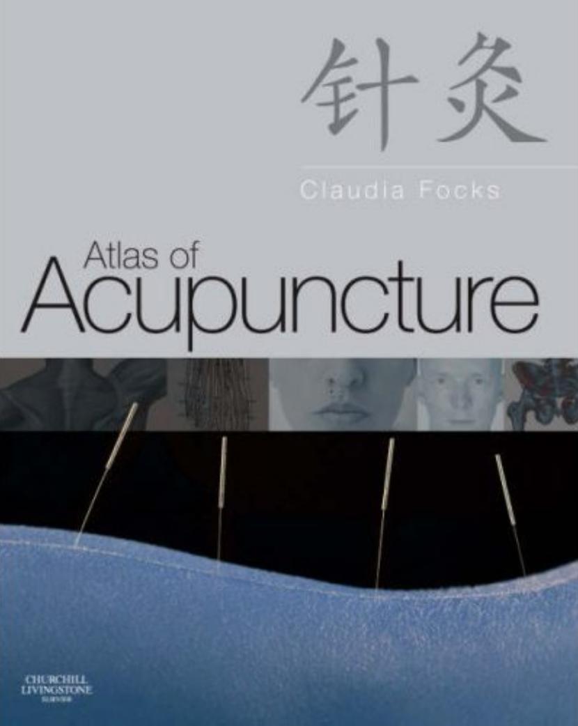 Atlas of Acupuncture by Claudia Focks MD