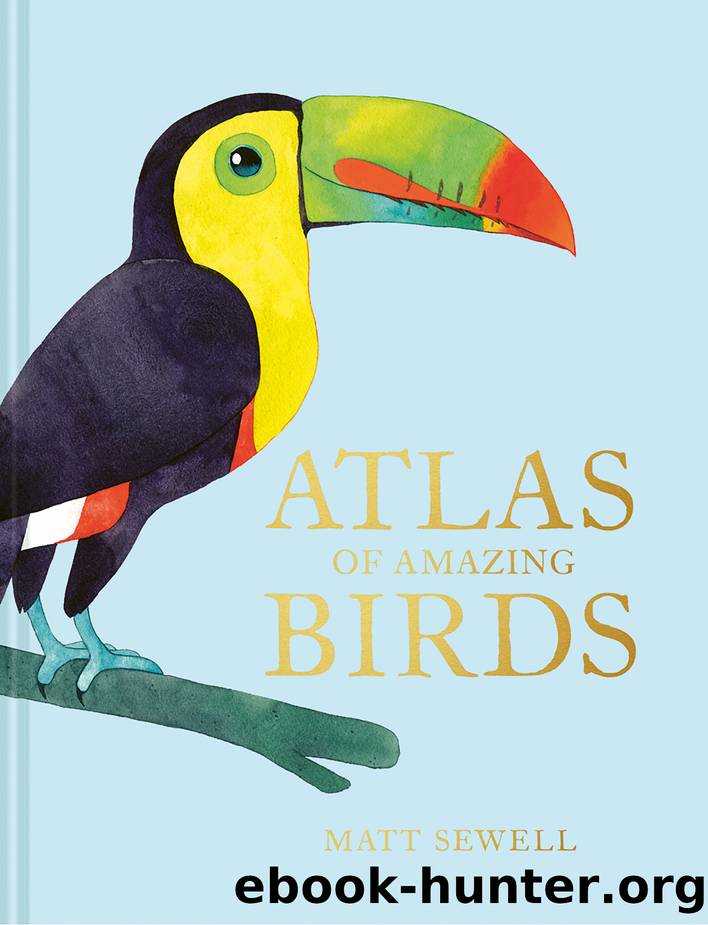 Atlas of Amazing Birds by Matt Sewell;