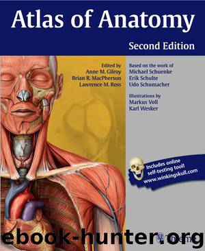 Atlas of Anatomy (Thieme Anatomy) by Gilroy Anne & MacPherson Brian