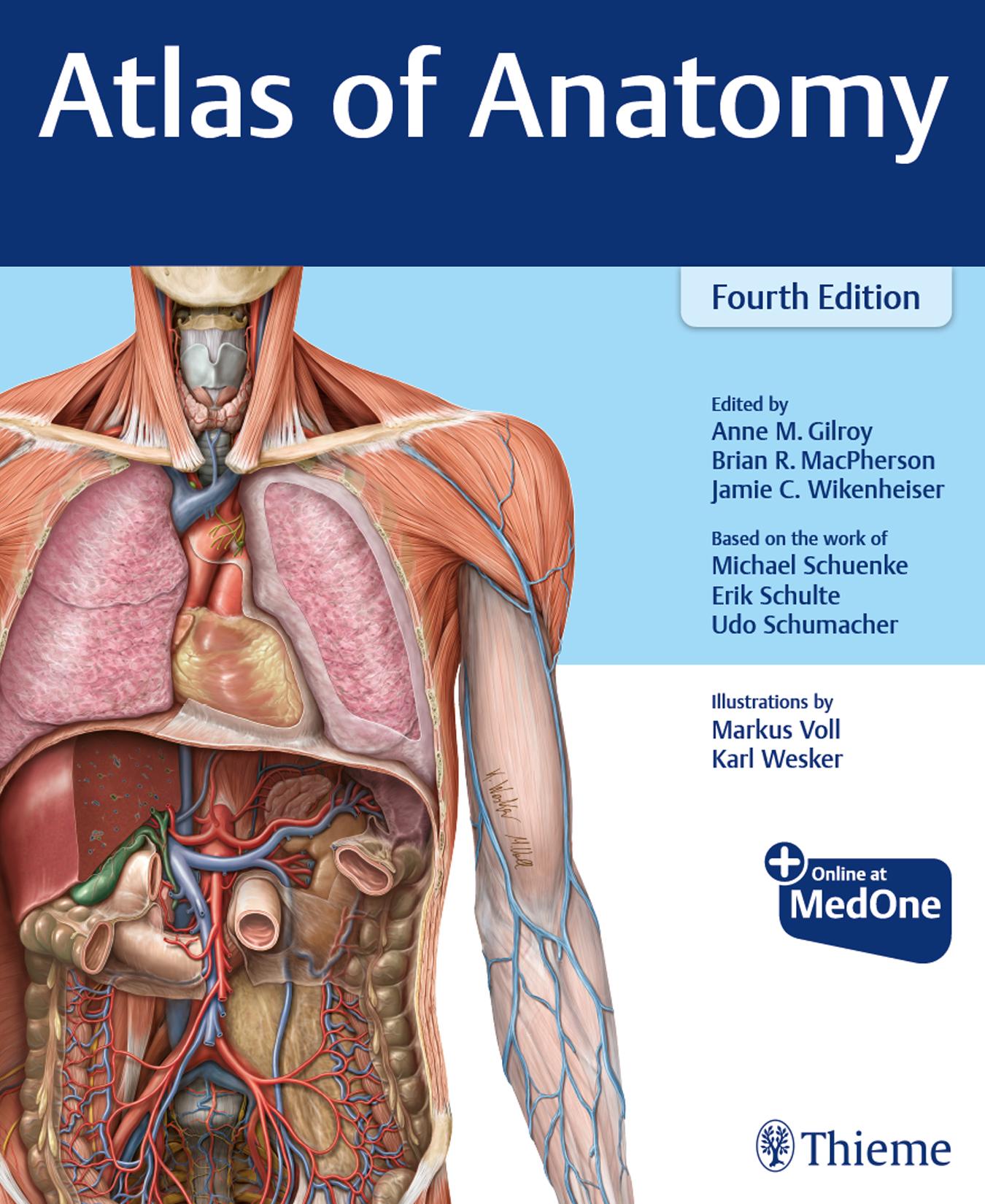 Atlas of Anatomy 4th Edition by Anne M Gilroy