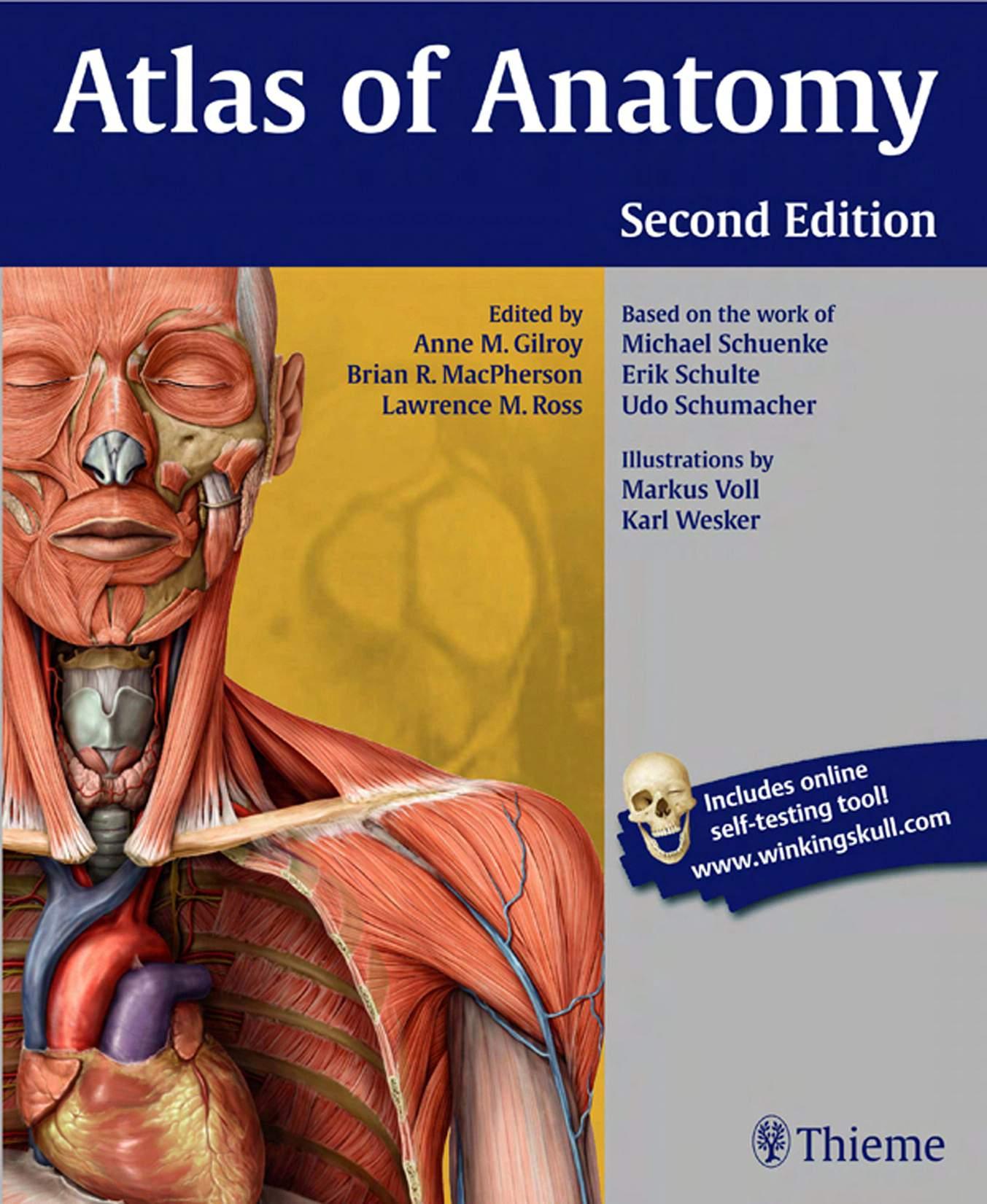 Atlas of Anatomy, 2nd edition by Unknow
