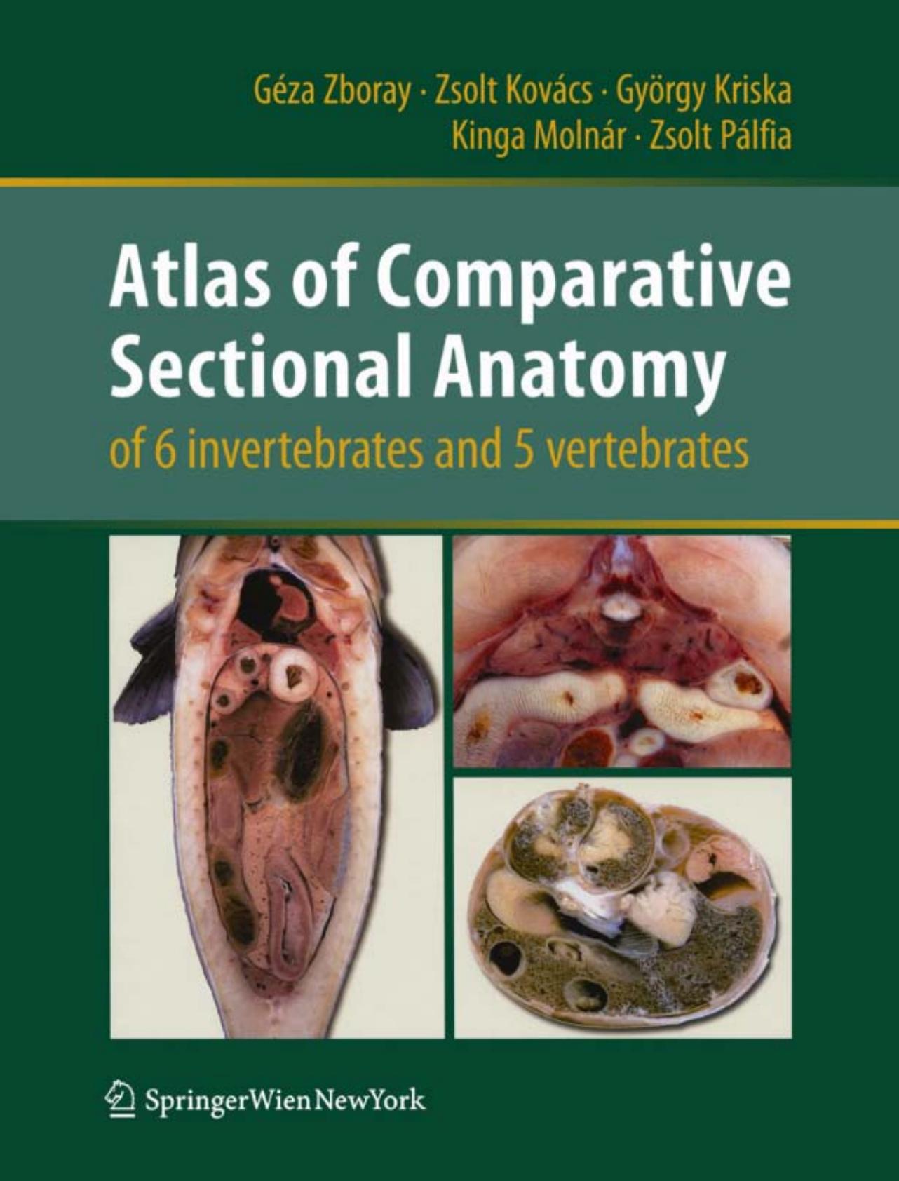 Atlas of Comparative Sectional Anatomy of 6 invertebrates and 5 vertebrates by Geza Zboray Zsolt Kovacs Gyorgy Kriska Kinga Molnar Zsolt Palfia