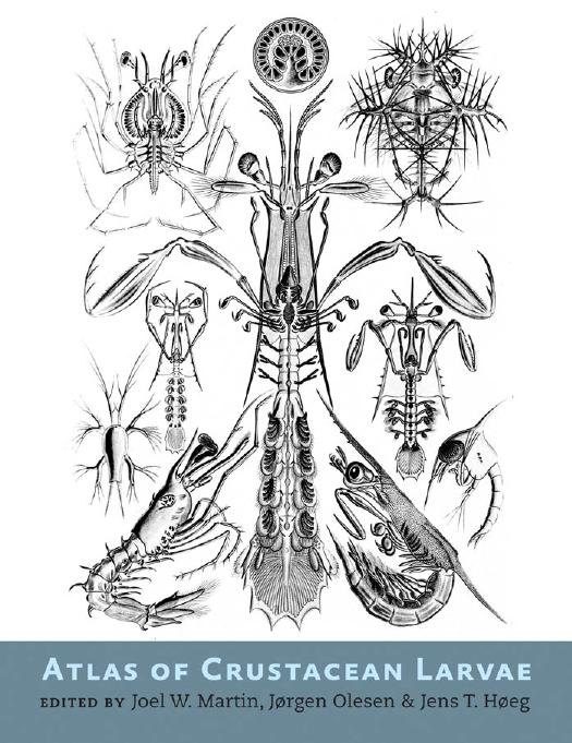 Atlas of Crustacean Larvae by edited by Joel W. Martin Jørgen Olesen & Jens T. Høeg