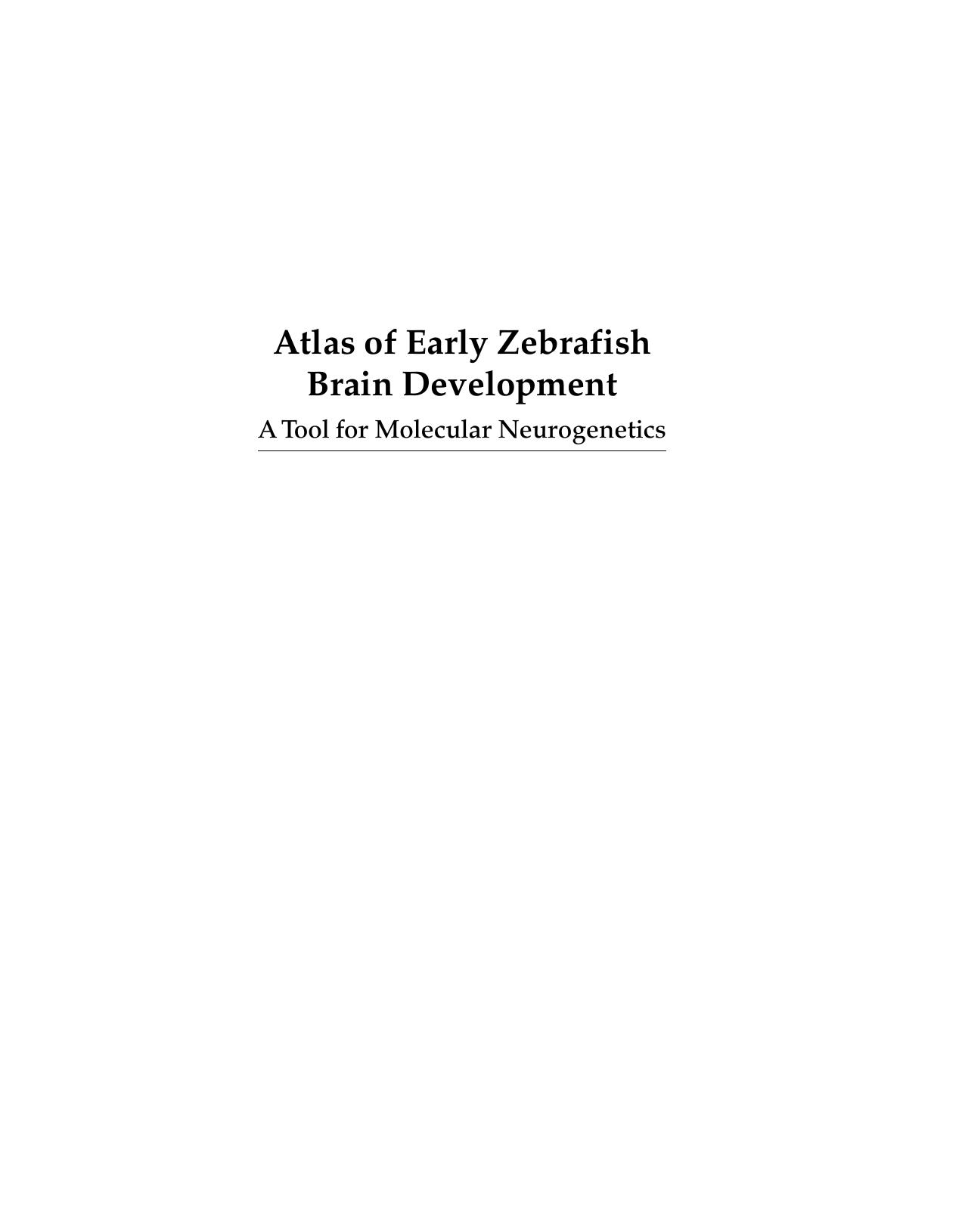 Atlas of Early Zebrafish Brain Development, Second Edition: A Tool for Molecular Neurogenetics by Mueller Thomas; Wullimann Mario F