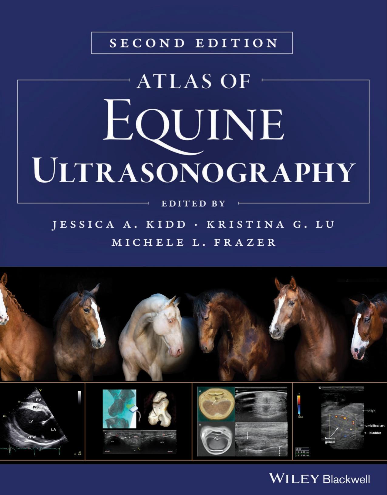 Atlas of Equine Ultrasonography by Jessica A. Kidd