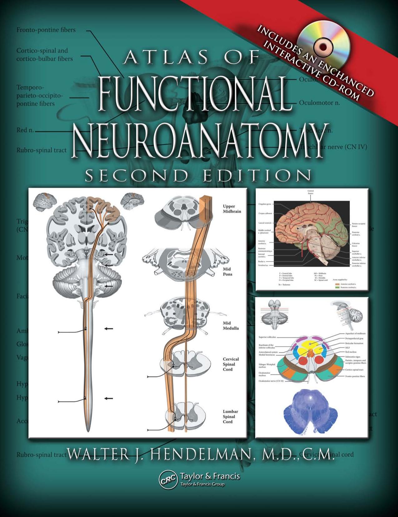 Atlas of Functional Neuroanatomy, Second Edition by Walter Hendelman M.D