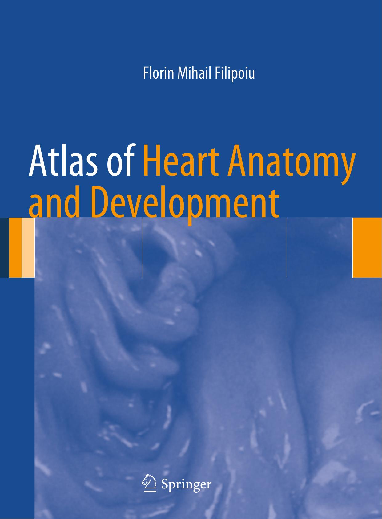Atlas of Heart Anatomy and Development by Florin Mihail Filipoiu (auth.)