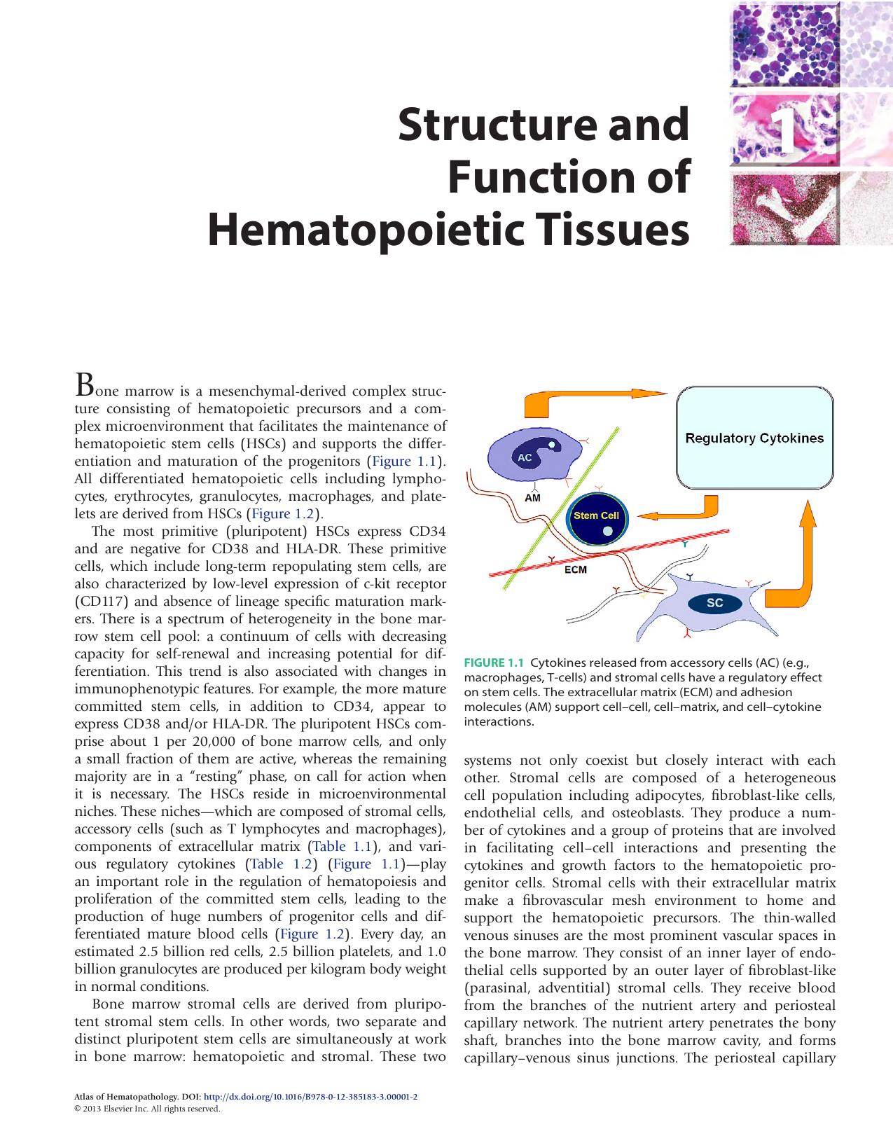 Atlas of Hematopathology. Morphology, Immunophenotype, Cytogenetics, and Molecular Approaches by Faramarz Naeim