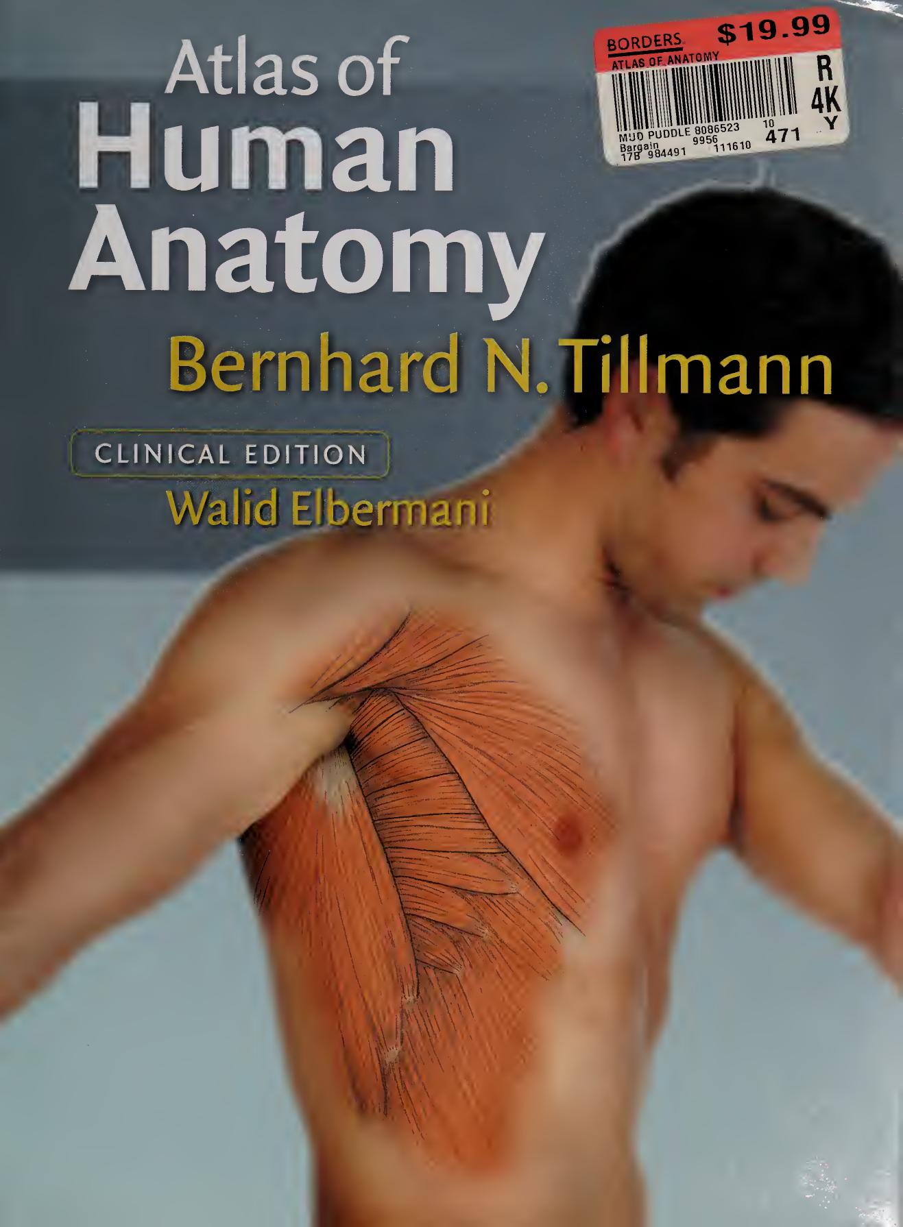 Atlas of Human Anatomy by Elbermani Walid; Franke C.; Sperlich C.; Tillmann Bernhard; Cornford A