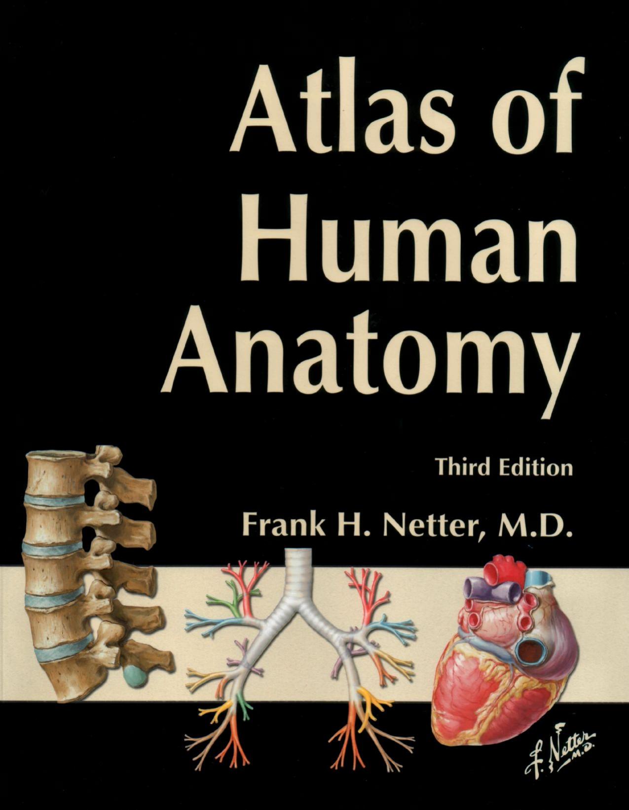 Atlas of Human Anatomy by Netter F.H