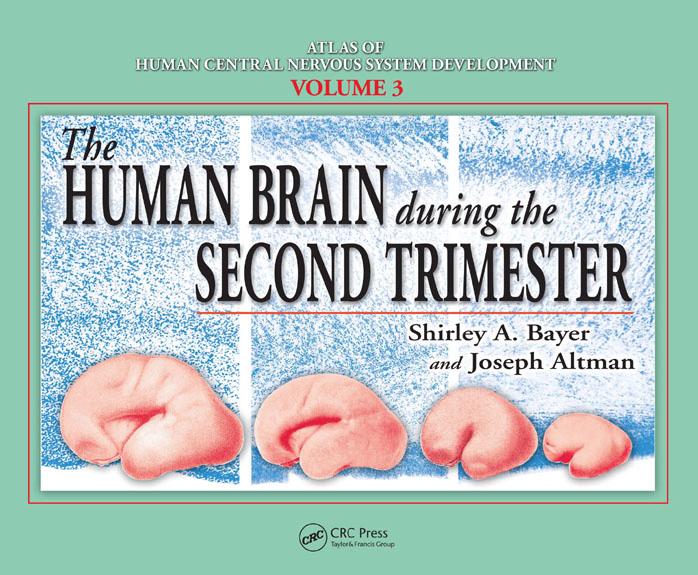 Atlas of Human Central Nervous System Development -5 Volume Set: The Human Brain During the Second Trimester by Shirley A. Bayer Joseph Altman