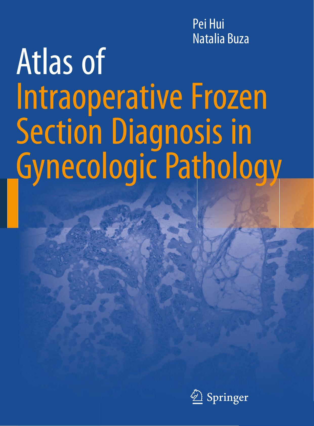 Atlas of Intraoperative Frozen Section Diagnosis in Gynecologic Pathology by Unknow