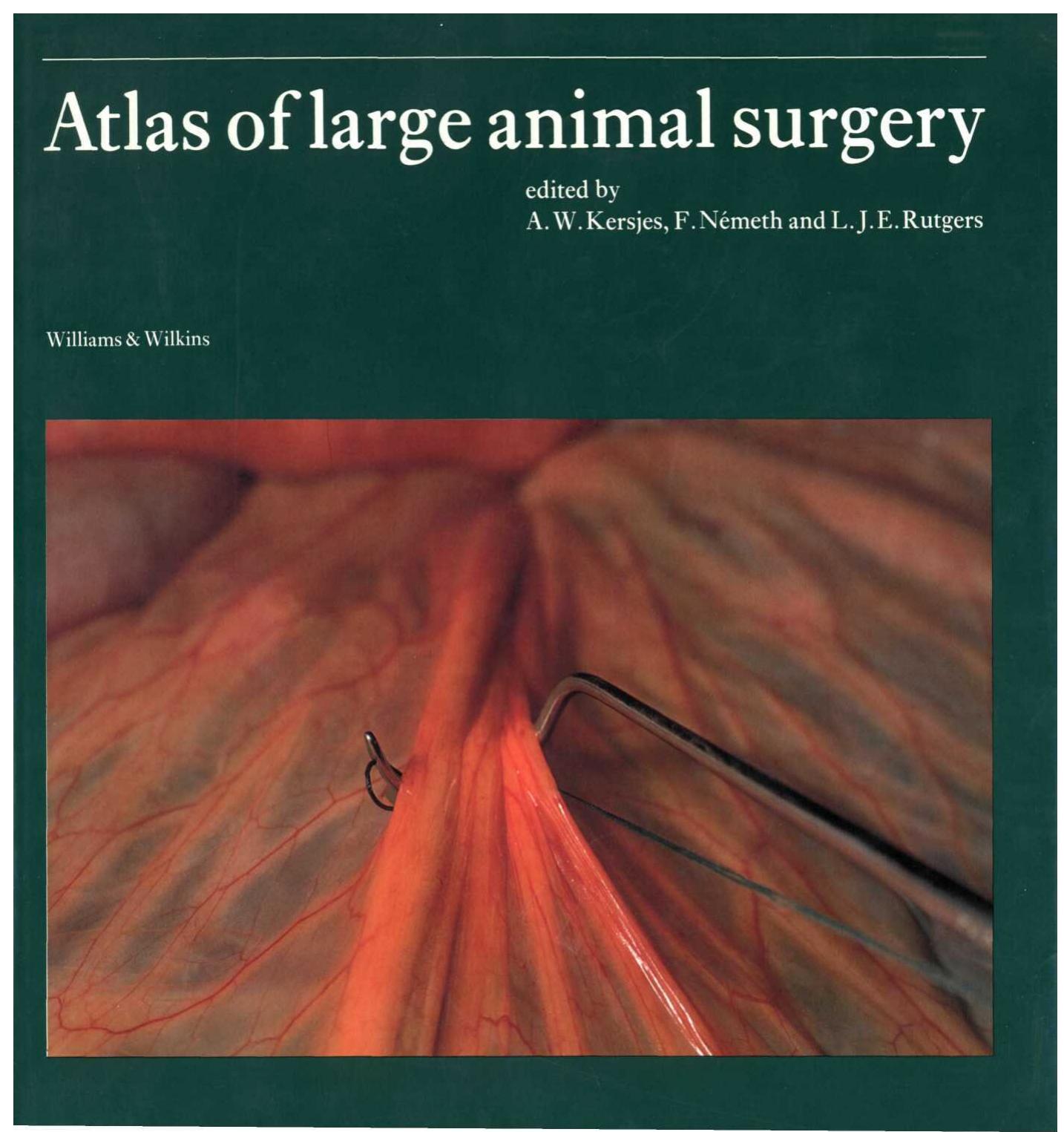 Atlas of Large Animal Surgery by A. W. Kersjes I. Nemeth