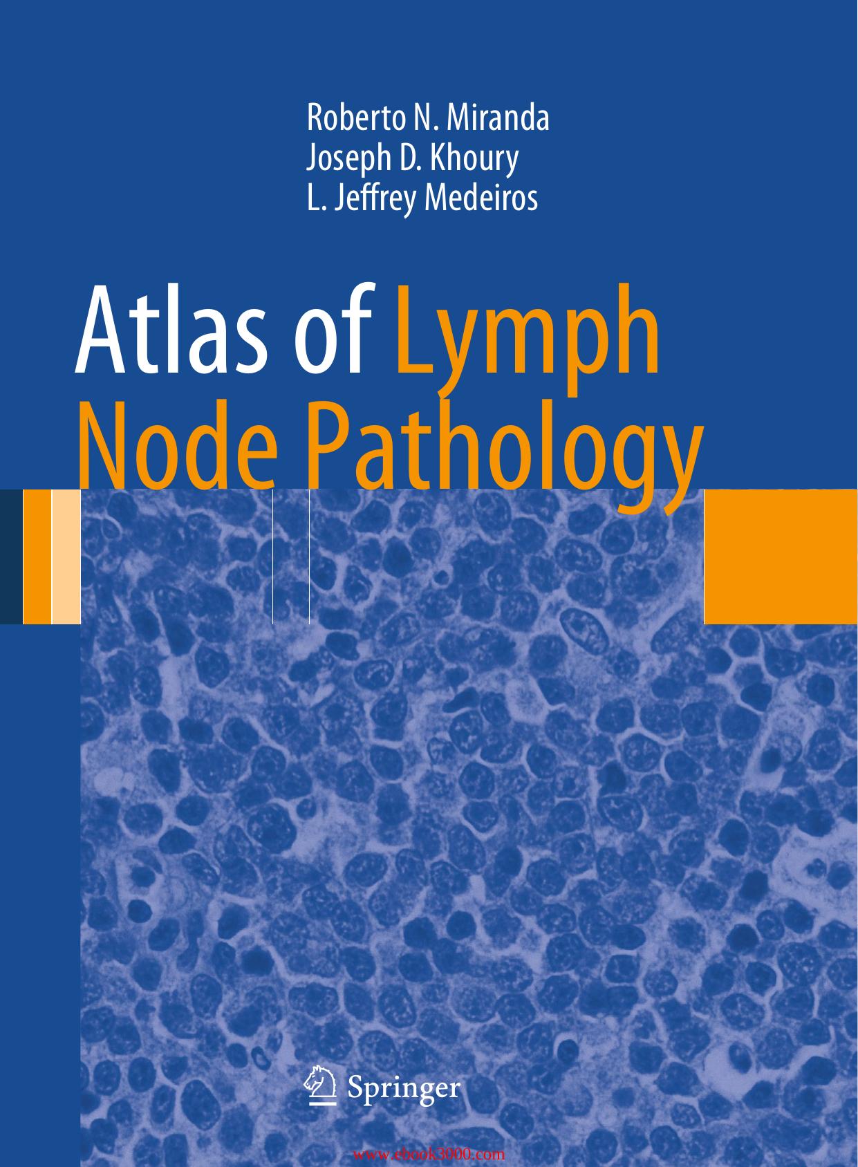 Atlas of Lymph Node Pathology (Atlas of Anatomic Pathology) by Unknow