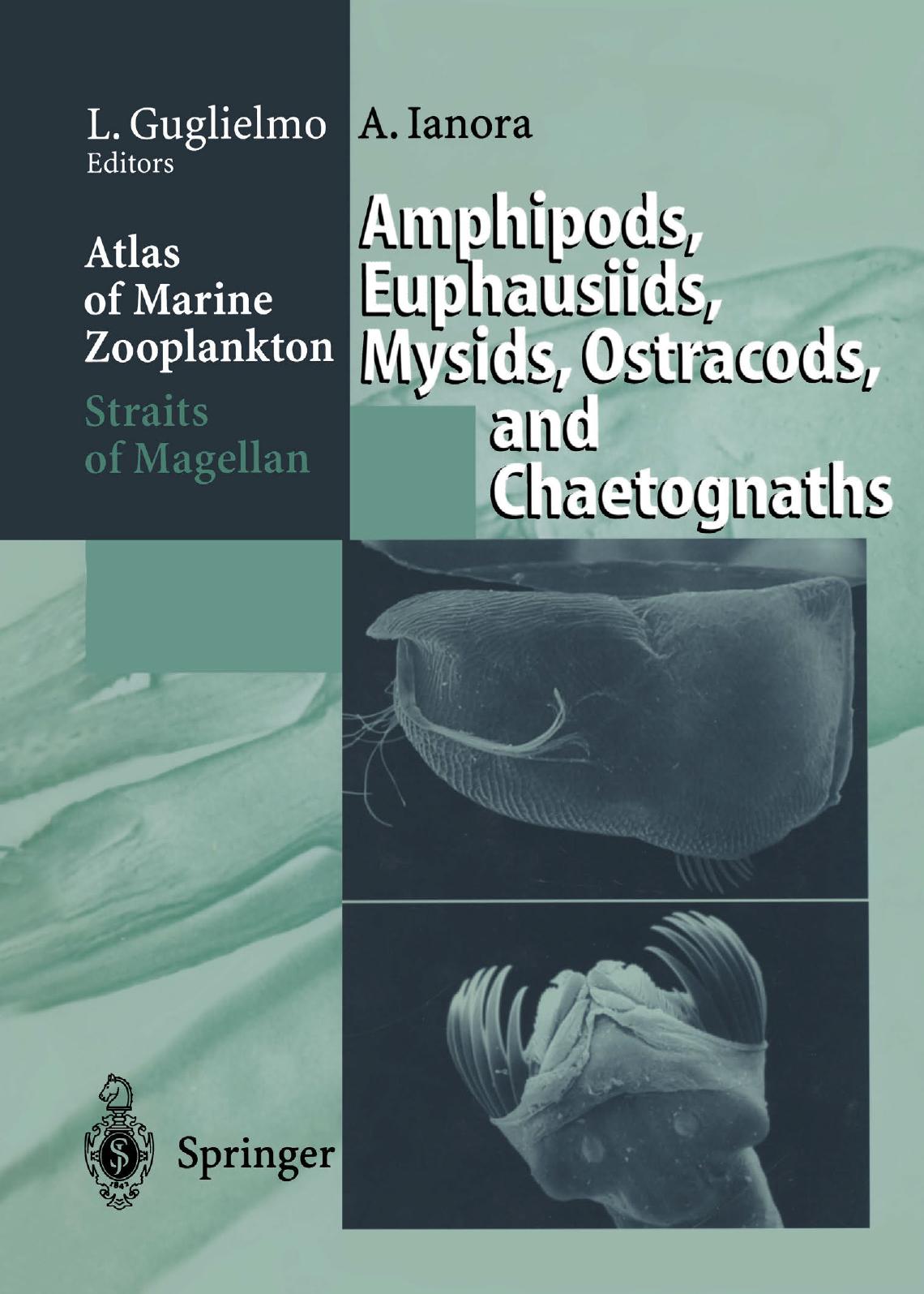 Atlas of Marine Zooplankton Straits of Magellan: Amphipods, Euphausiids, Mysids, Ostracods, and Chaetognaths by Professor Dr. Letterio Guglielmo (auth.)