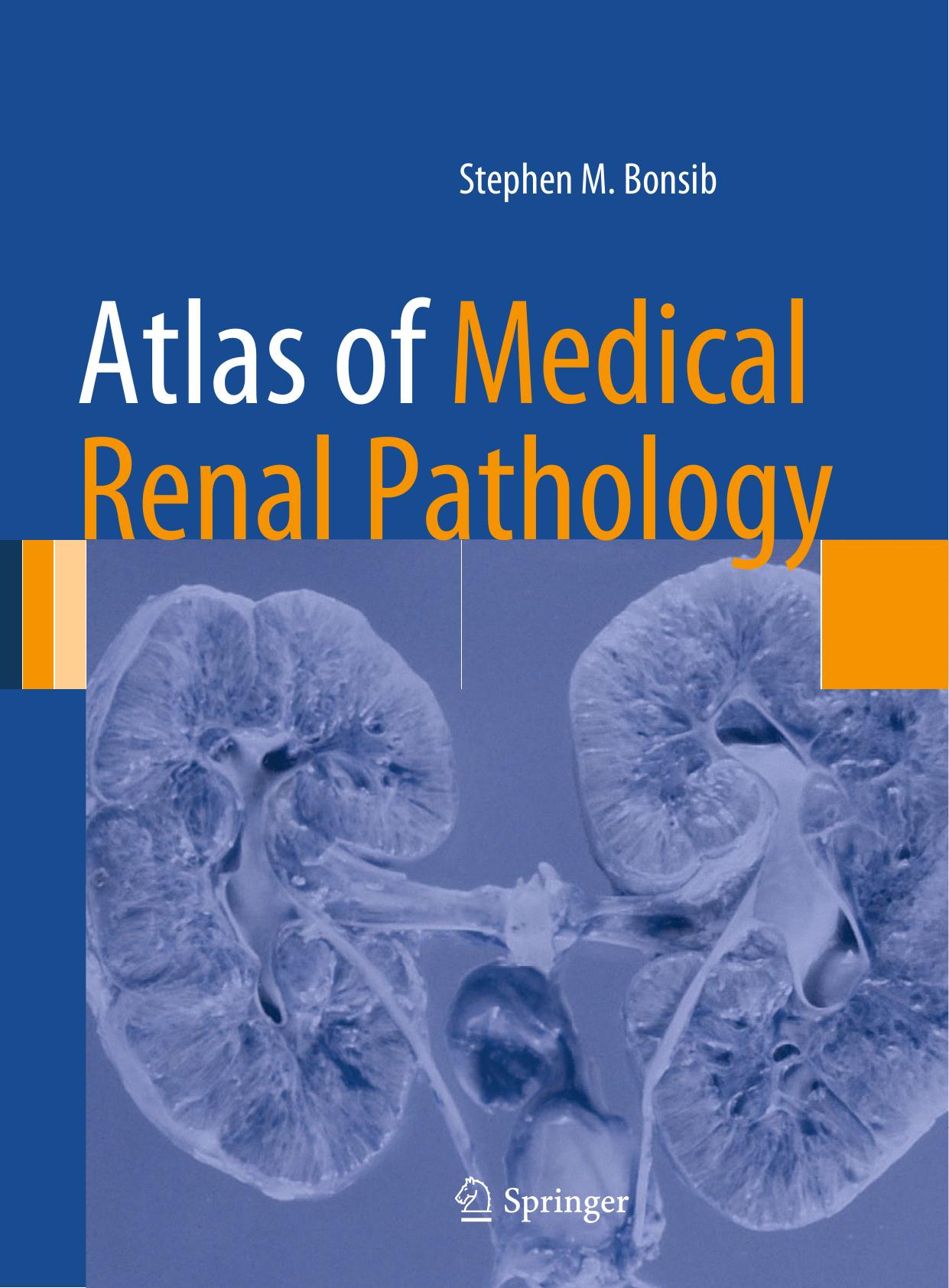 Atlas of Medical Renal Pathology by Stephen M. Bonsib (auth.)