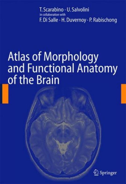Atlas of Morphology and Functional Anatomy of the Brain by F. Di Salle H. Duvernoy P. Rabischong
