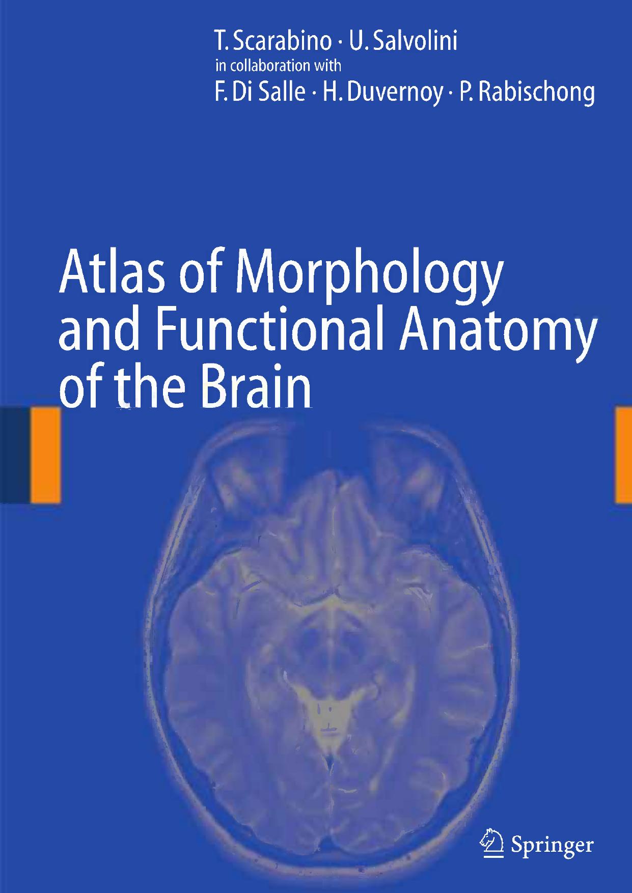 Atlas of Morphology and Functional Anatomy of the Brain by T. Scarabino U. Salvolini (auth.)