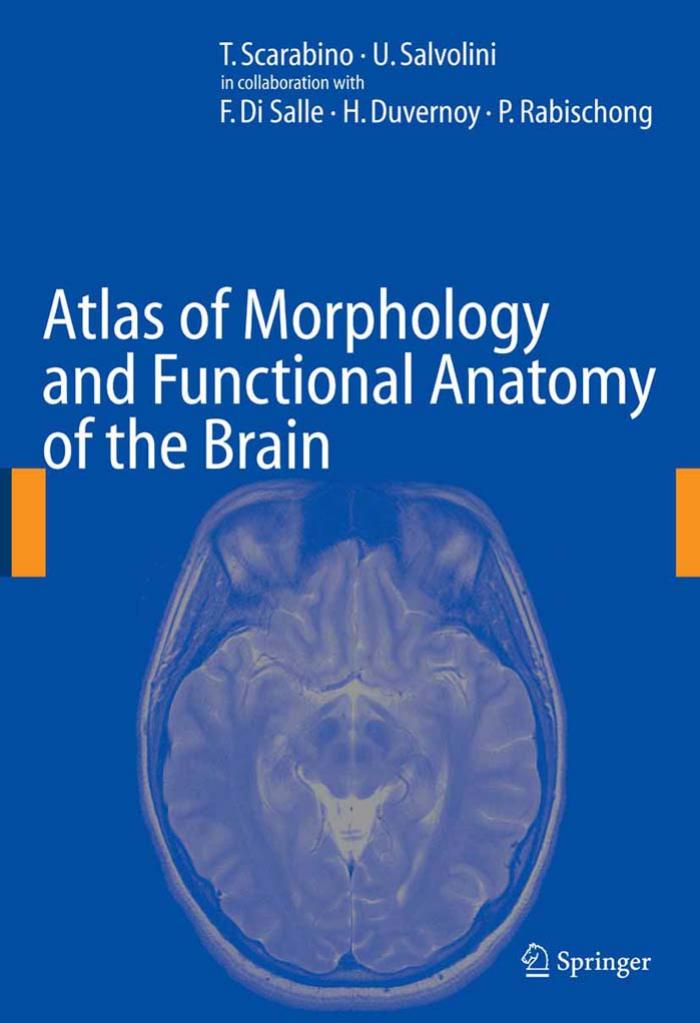 Atlas of Morphology and Functional Anatomy of the Brain by T. Scarabino U. Salvolini F. Di Salle H. Duvernoy P. Rabischong