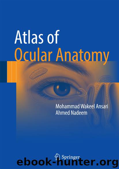 Atlas of Ocular Anatomy by Mohammad Wakeel Ansari & Ahmed Nadeem